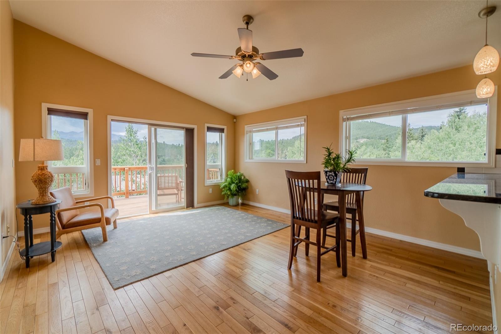 MLS Image #17 for 219  dewell road,woodland park, Colorado