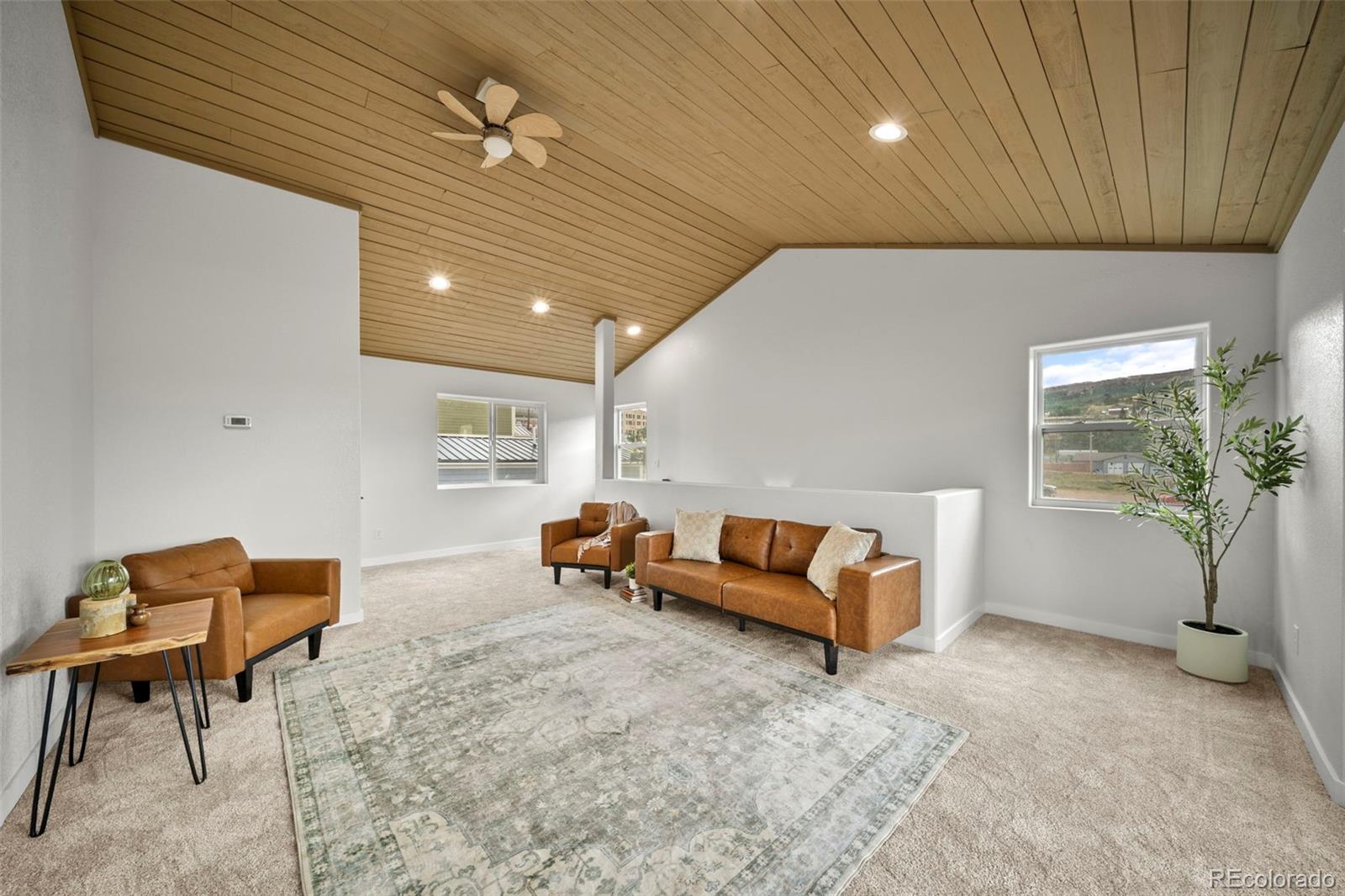 MLS Image #15 for 107 e may avenue,cripple creek, Colorado