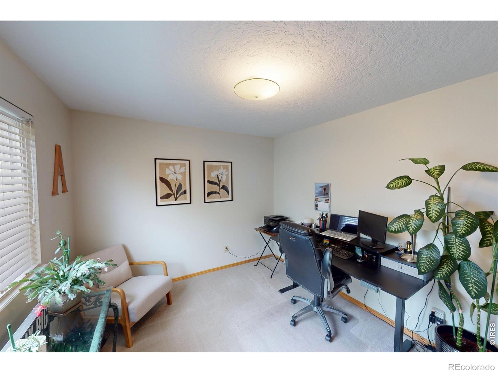 MLS Image #16 for 717  shipman mountain court,windsor, Colorado