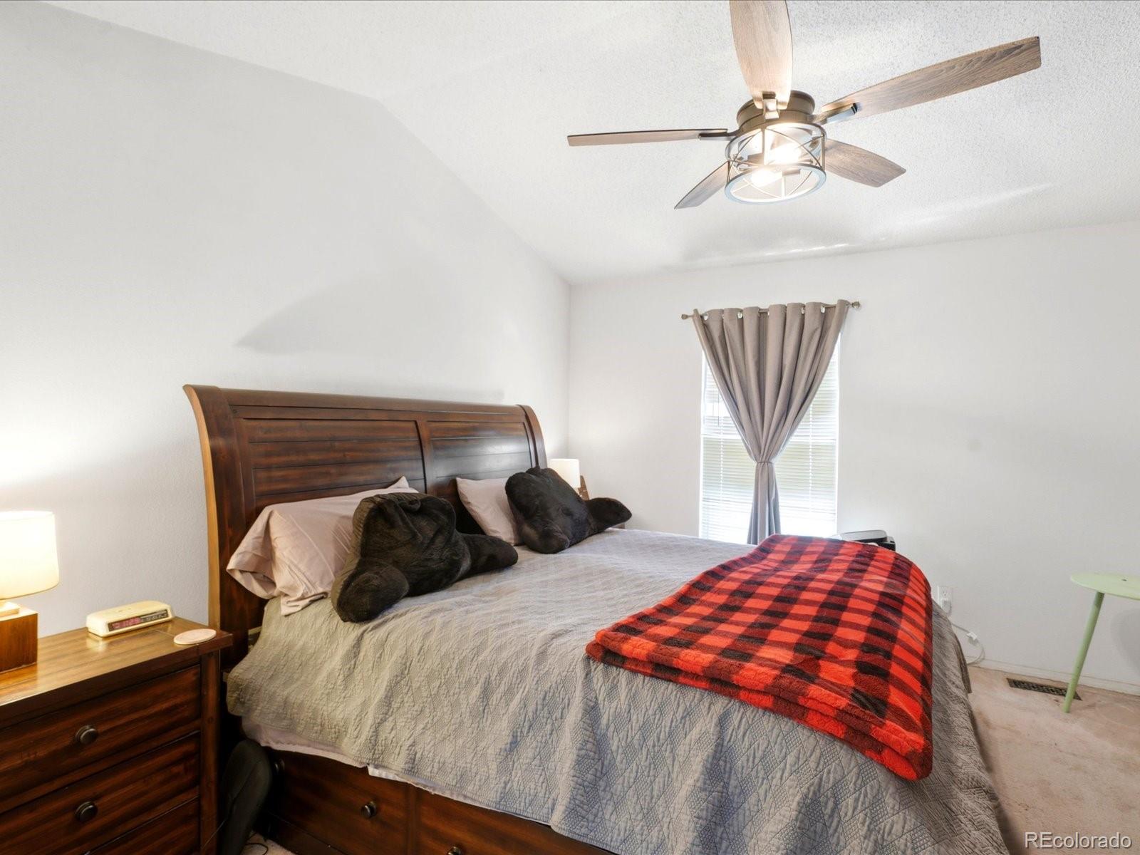 MLS Image #21 for 10864  bayfield way,parker, Colorado