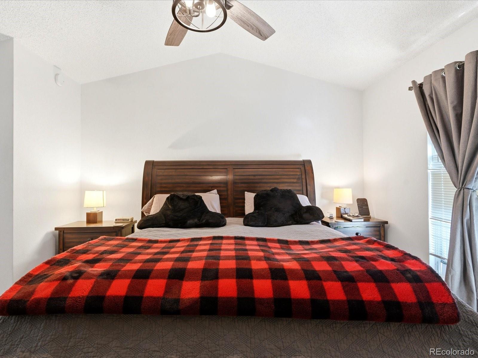 MLS Image #23 for 10864  bayfield way,parker, Colorado