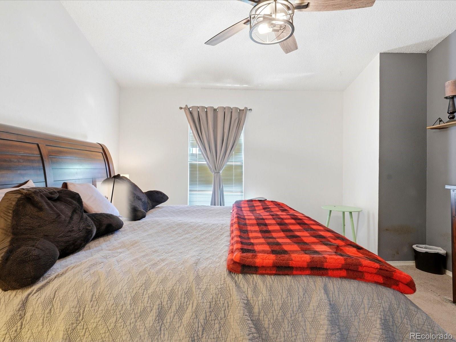 MLS Image #25 for 10864  bayfield way,parker, Colorado