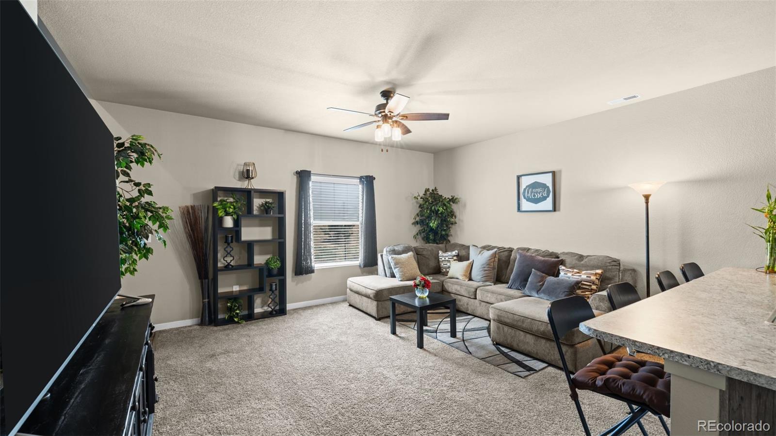 MLS Image #2 for 4687  ports down lane,colorado springs, Colorado