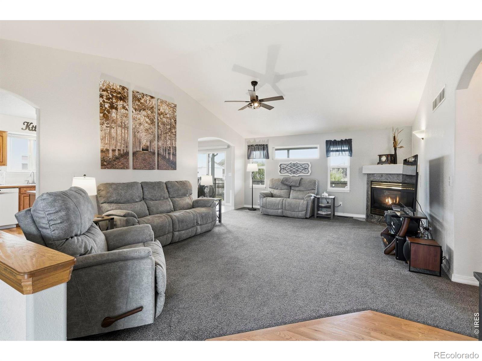 MLS Image #8 for 1288  cherrywood drive,brighton, Colorado