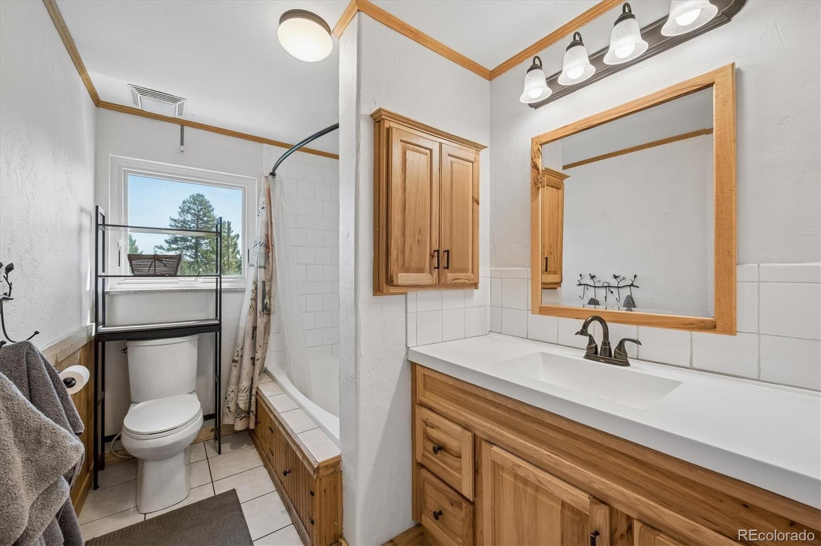 MLS Image #15 for 194  long ridge drive,bailey, Colorado