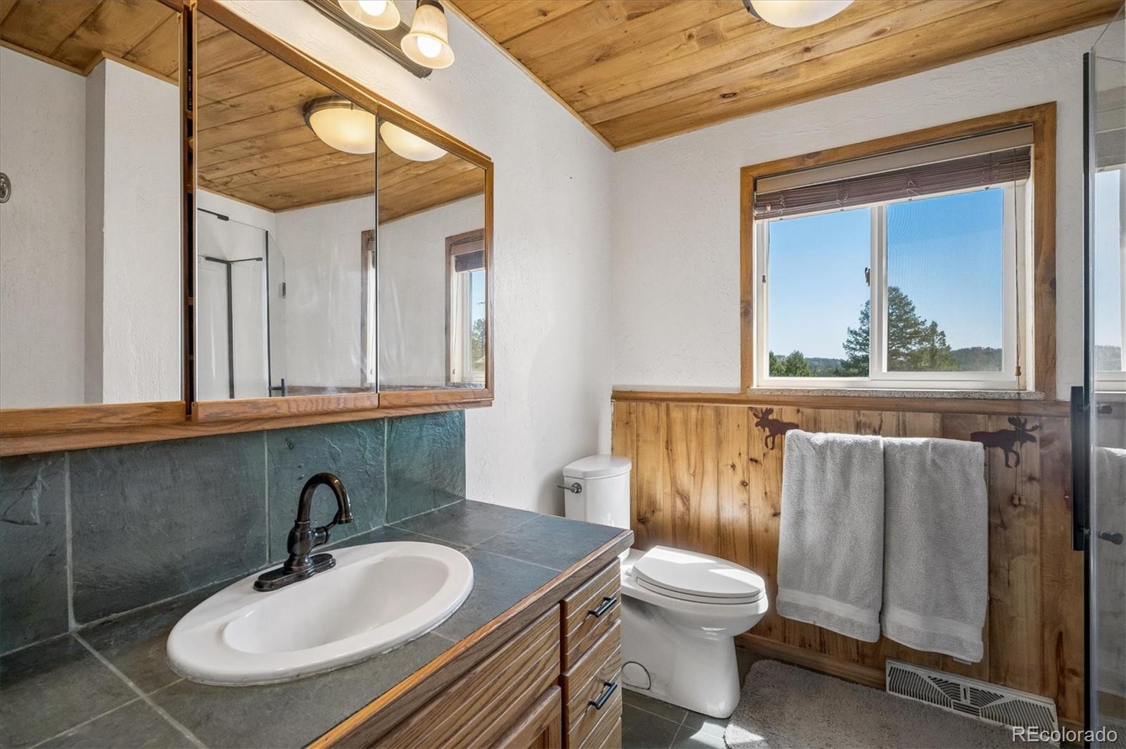 MLS Image #20 for 194  long ridge drive,bailey, Colorado