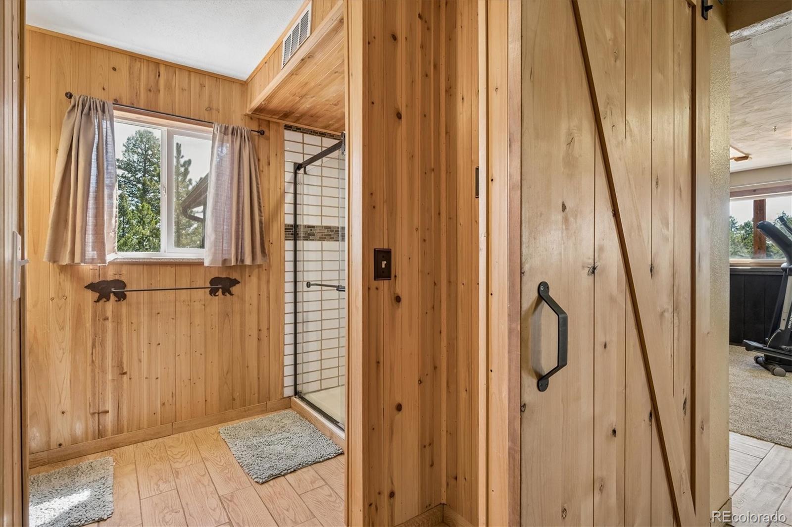 MLS Image #29 for 194  long ridge drive,bailey, Colorado