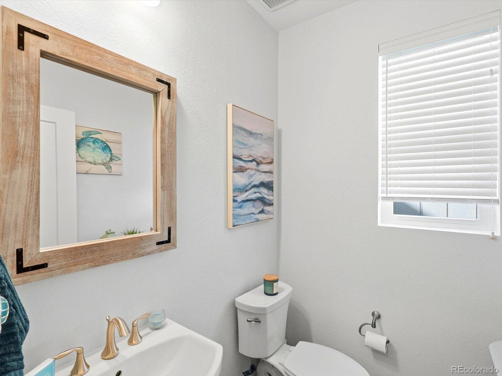 MLS Image #12 for 11318  star streak lane,littleton, Colorado