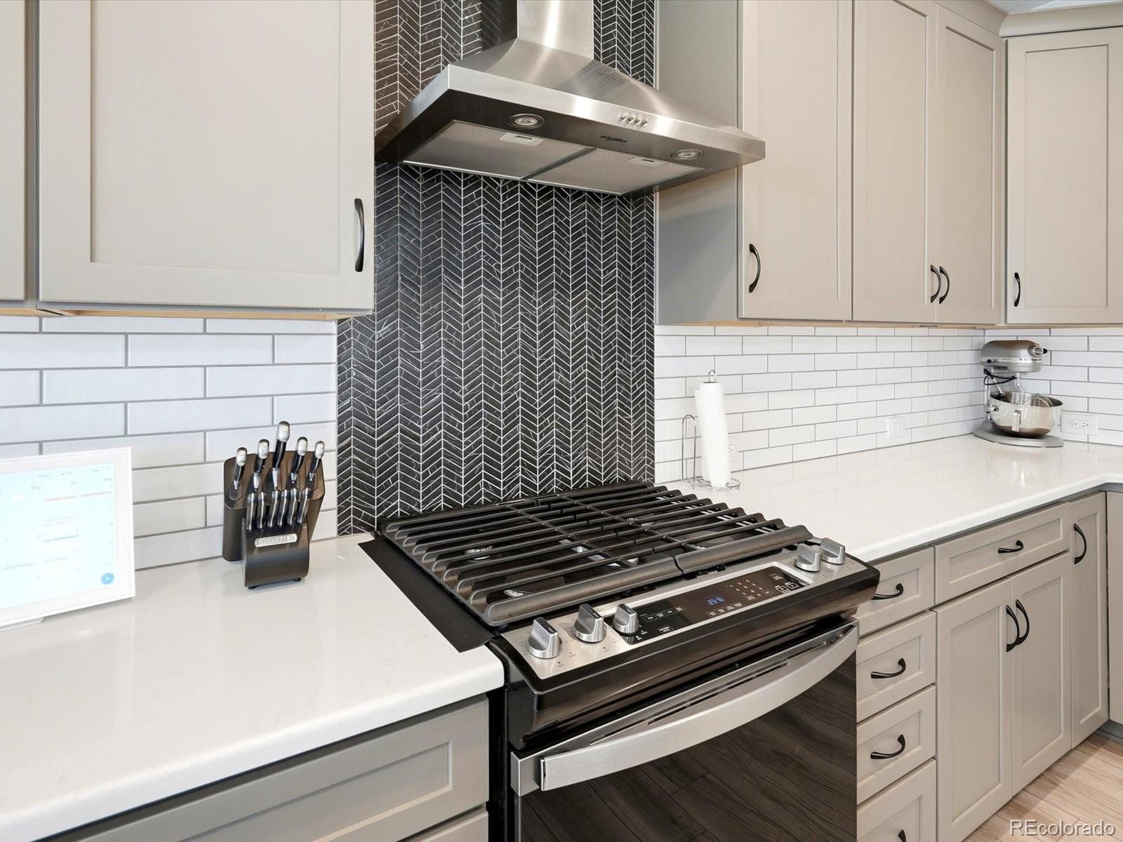 MLS Image #20 for 11318  star streak lane,littleton, Colorado