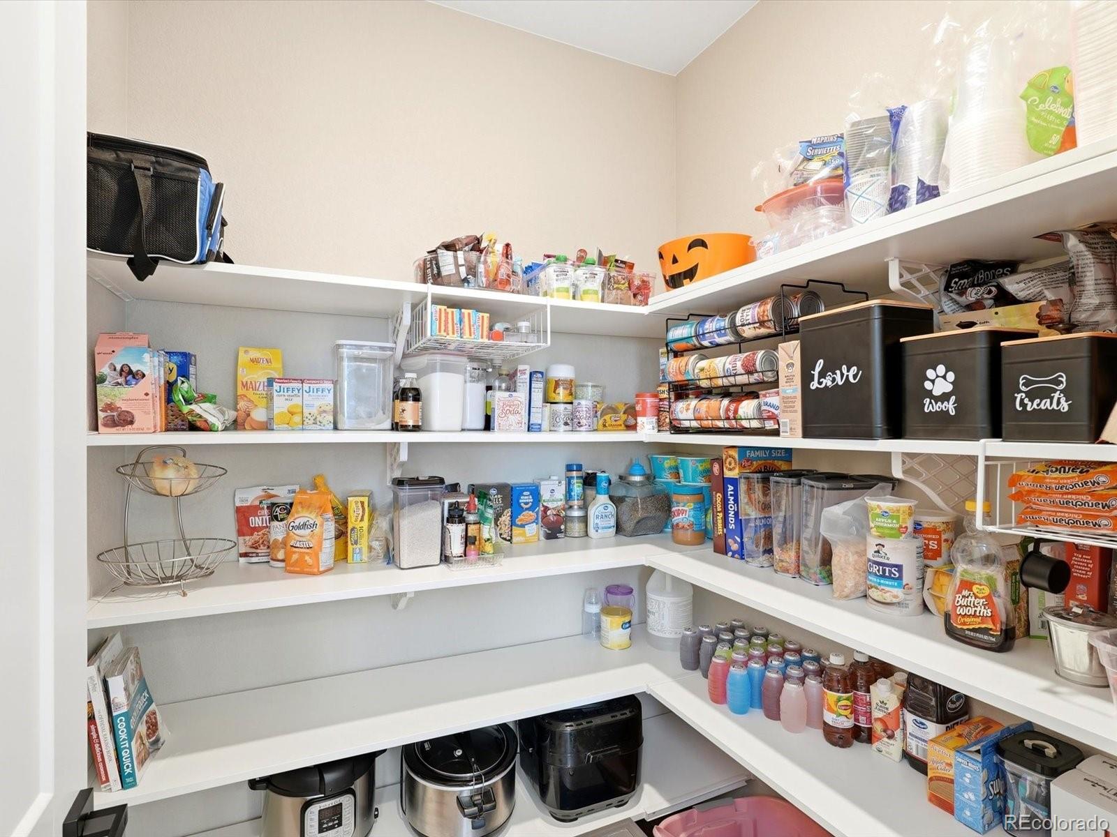 MLS Image #23 for 11318  star streak lane,littleton, Colorado