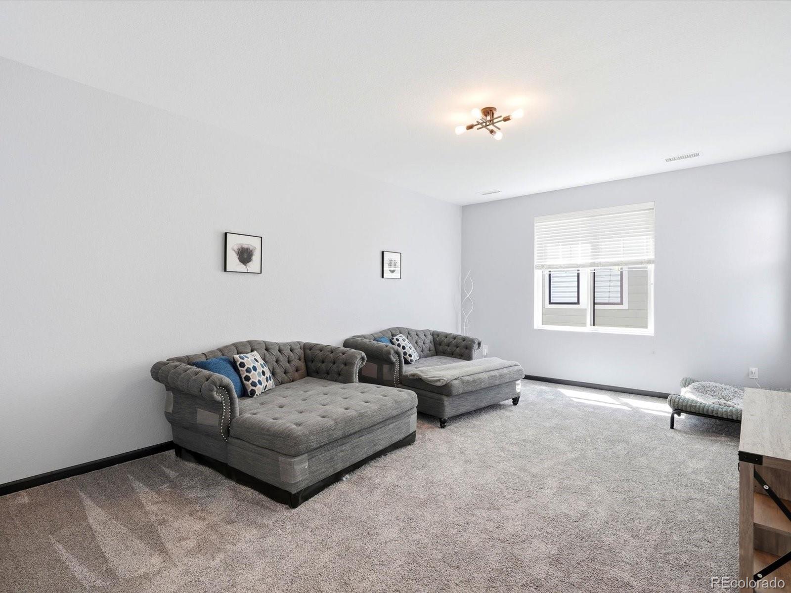 MLS Image #31 for 11318  star streak lane,littleton, Colorado