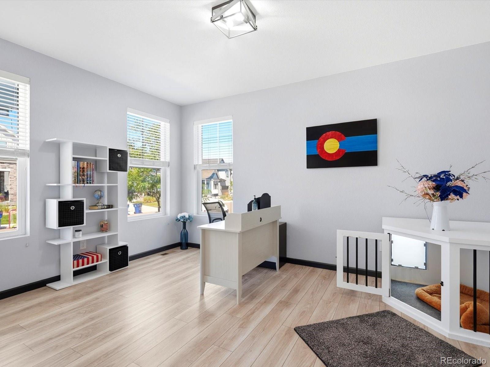 MLS Image #8 for 11318  star streak lane,littleton, Colorado