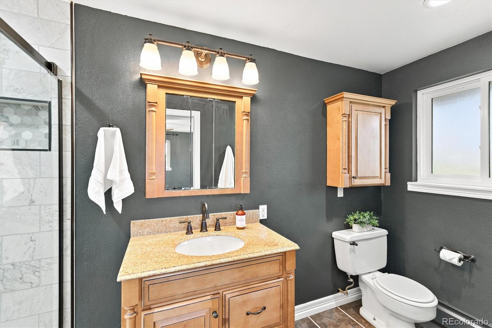 MLS Image #24 for 1186 e davies court,centennial, Colorado