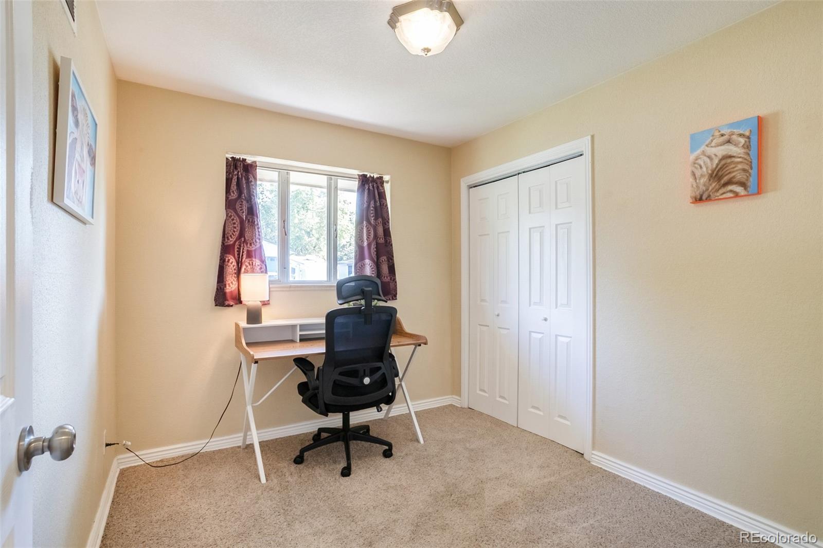 MLS Image #12 for 7950  irving street,westminster, Colorado