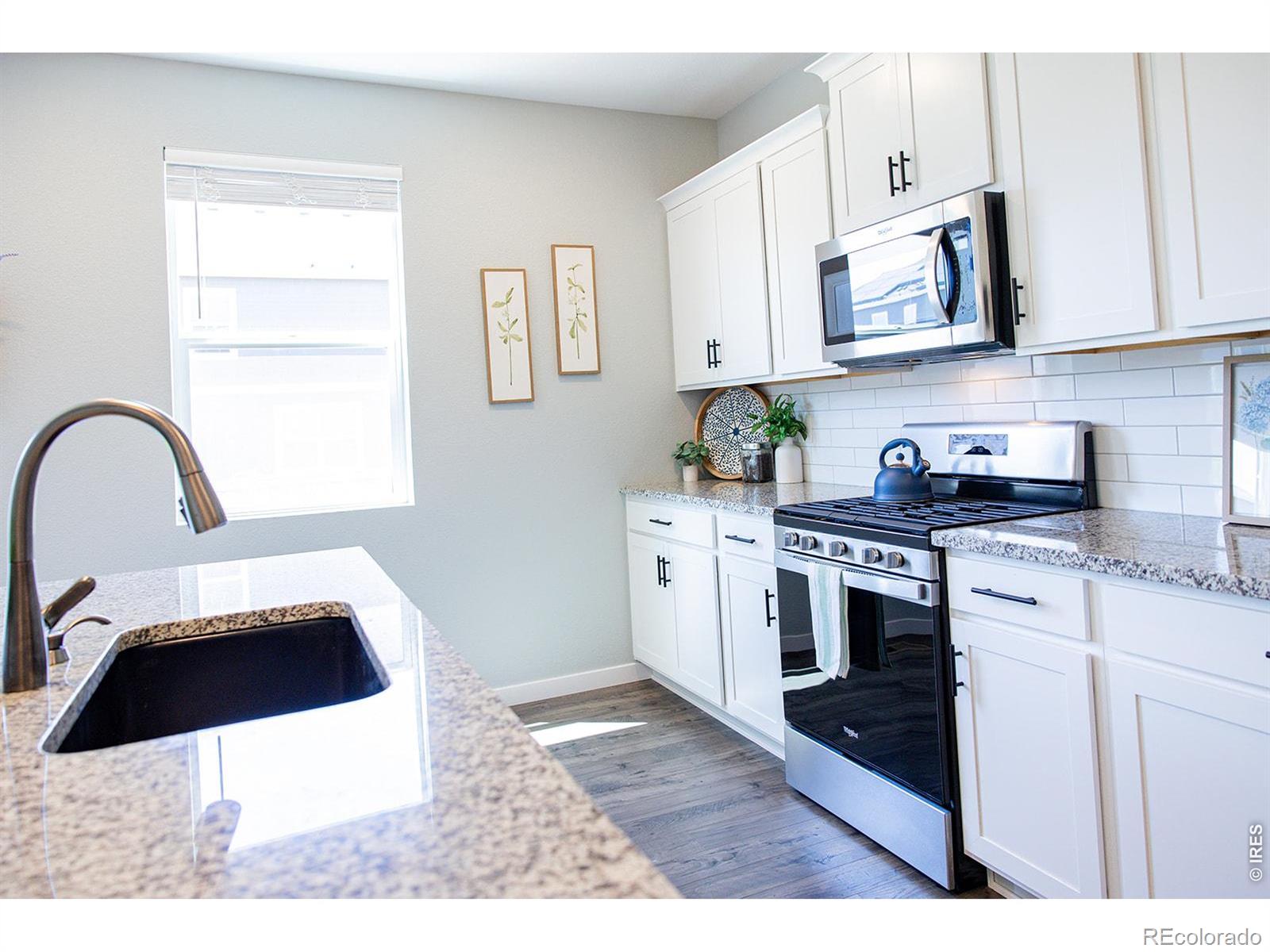MLS Image #12 for 3691  speedwell street,wellington, Colorado