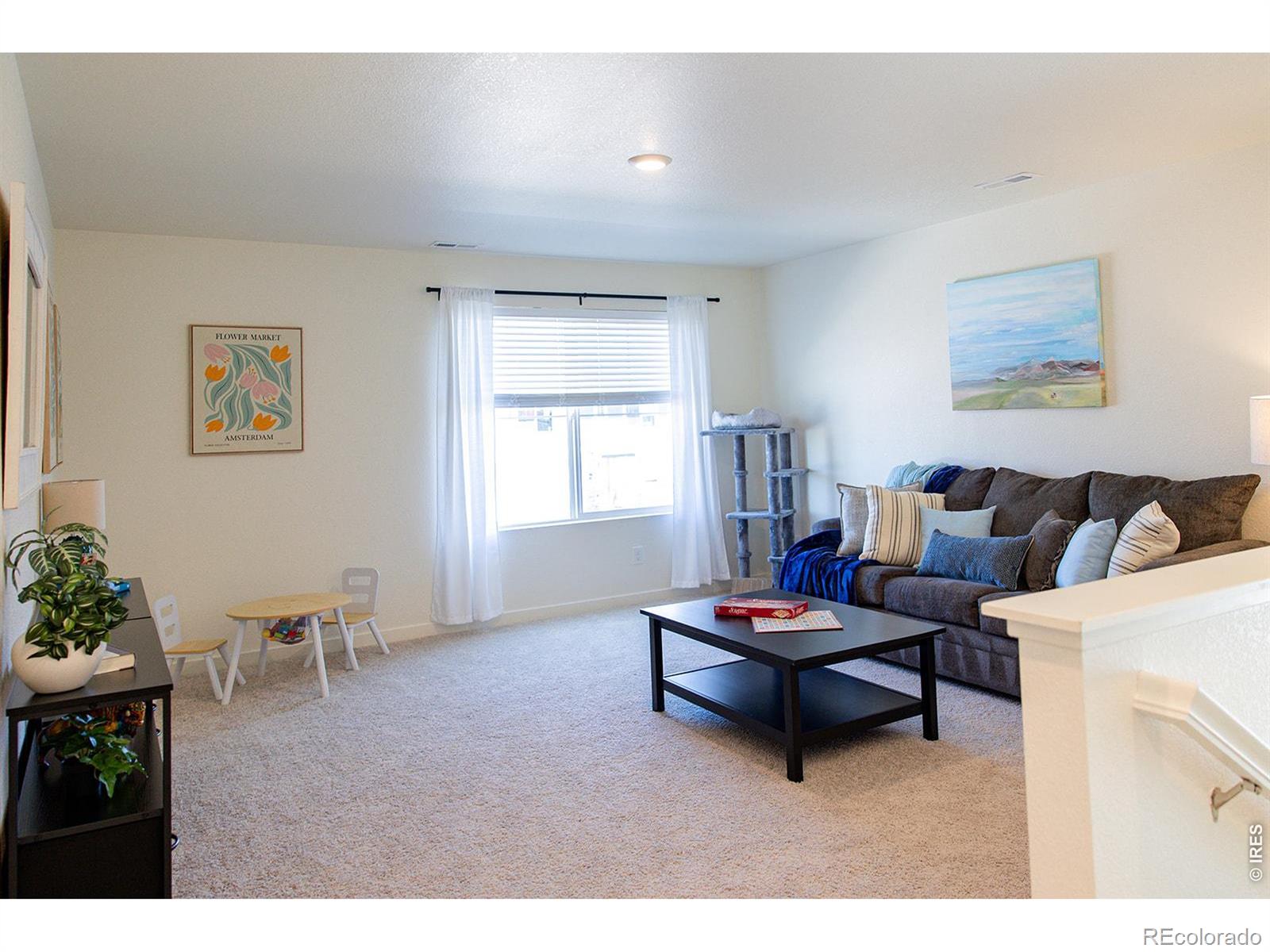 MLS Image #18 for 3691  speedwell street,wellington, Colorado