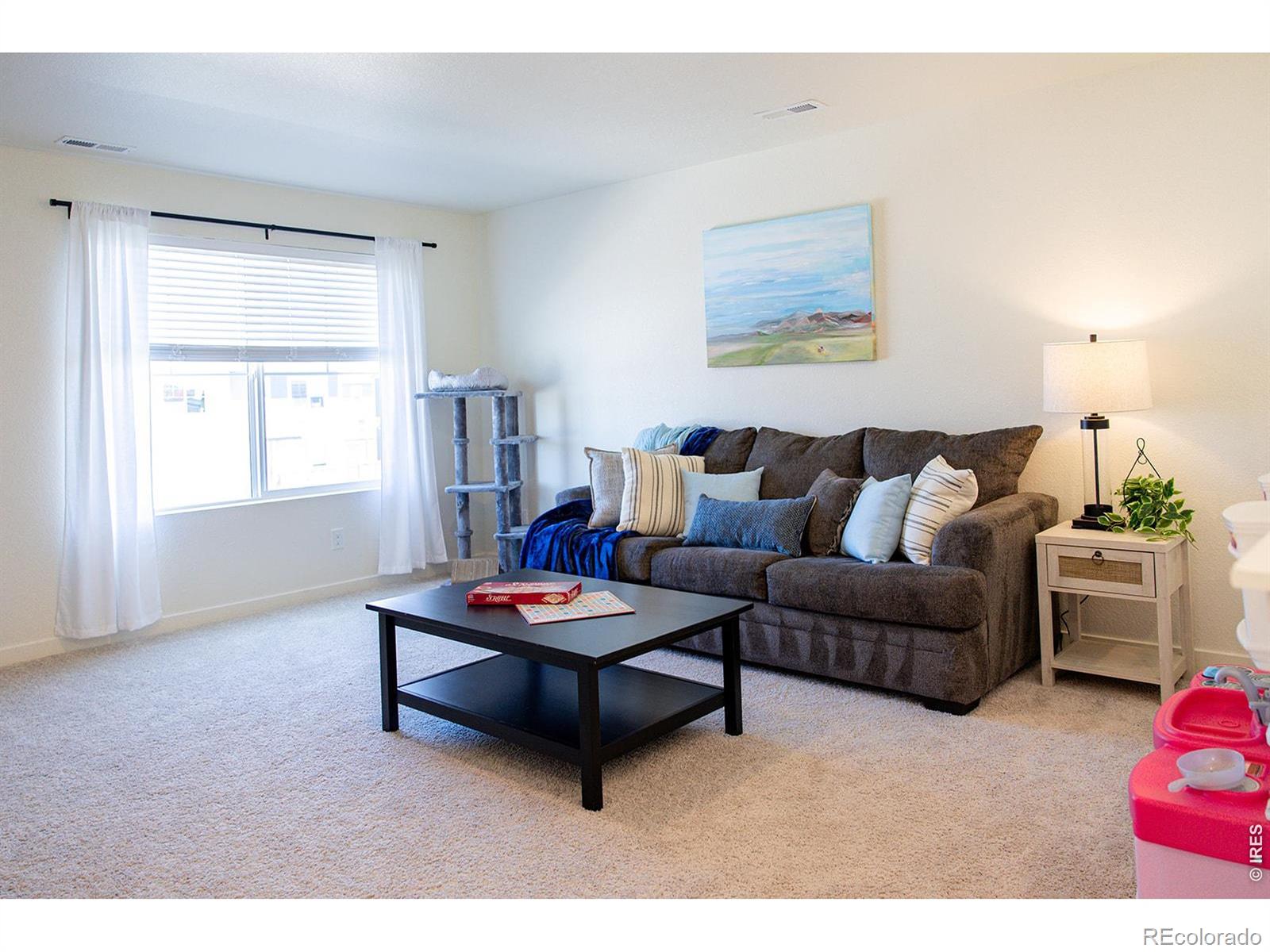 MLS Image #19 for 3691  speedwell street,wellington, Colorado