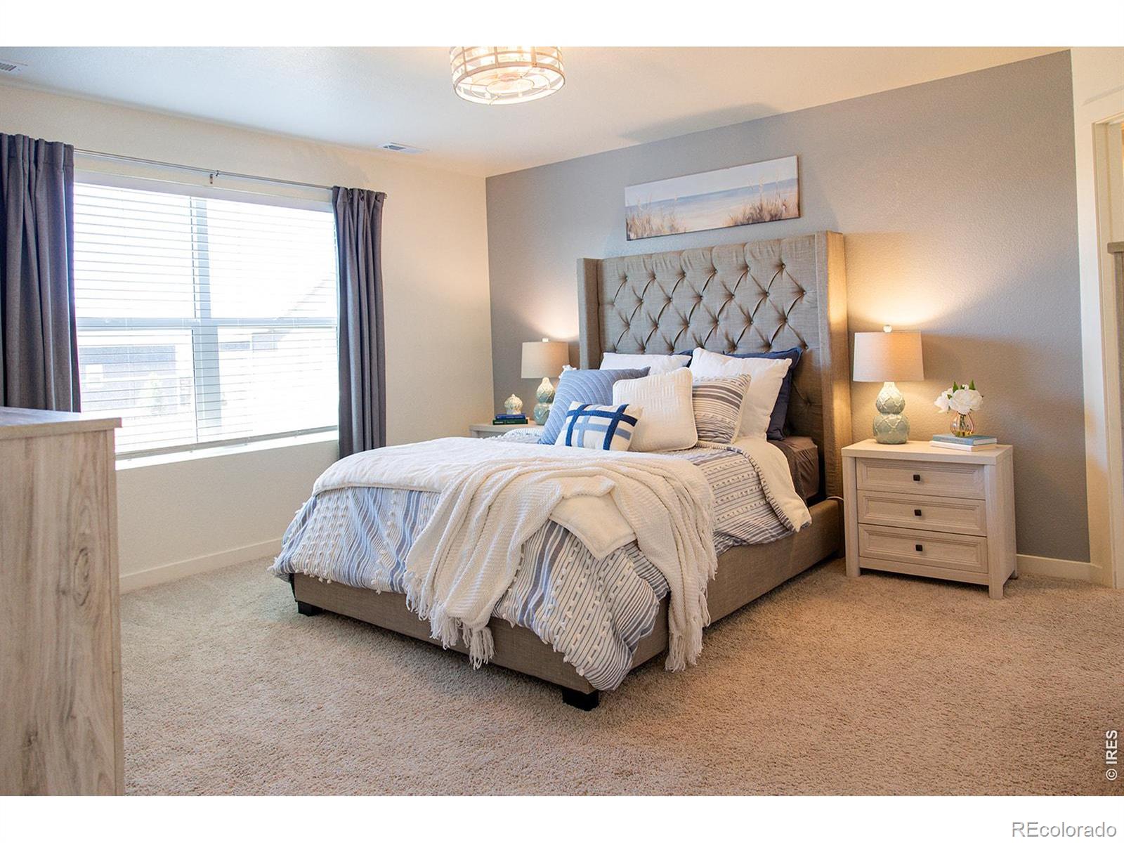 MLS Image #20 for 3691  speedwell street,wellington, Colorado