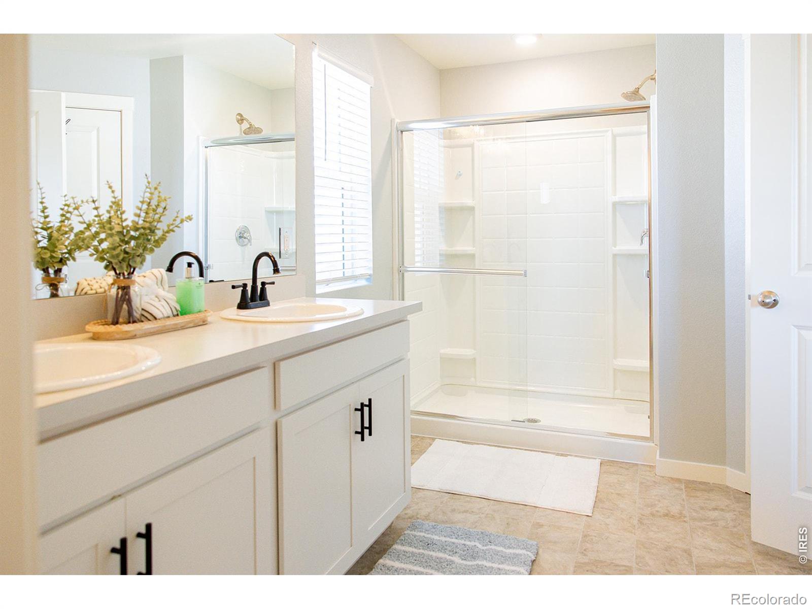 MLS Image #22 for 3691  speedwell street,wellington, Colorado