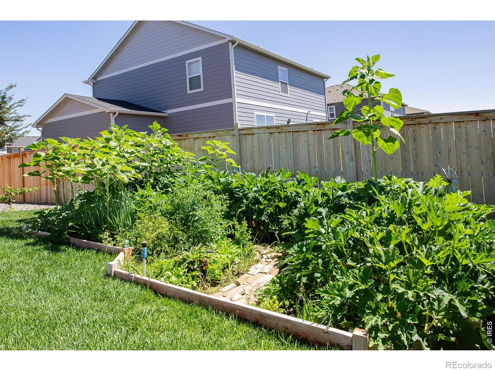 MLS Image #37 for 3691  speedwell street,wellington, Colorado