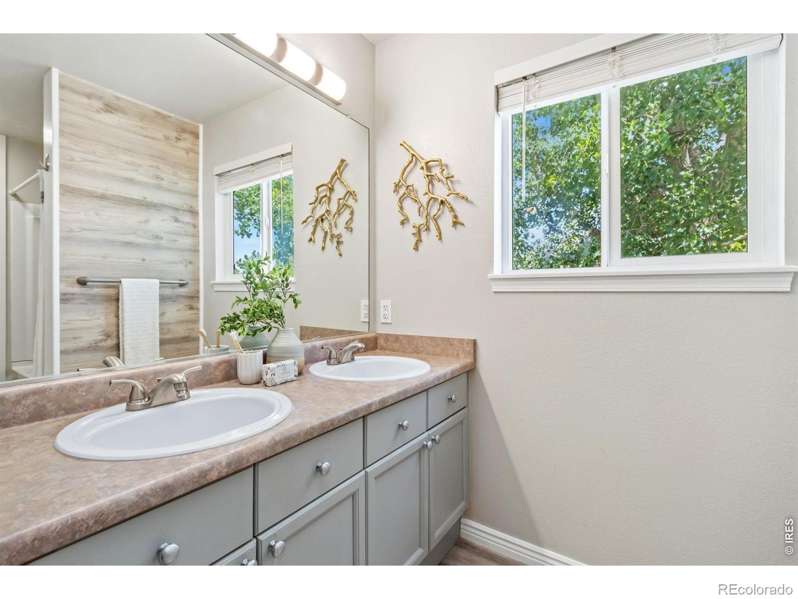 MLS Image #7 for 209  cheops court,fort collins, Colorado