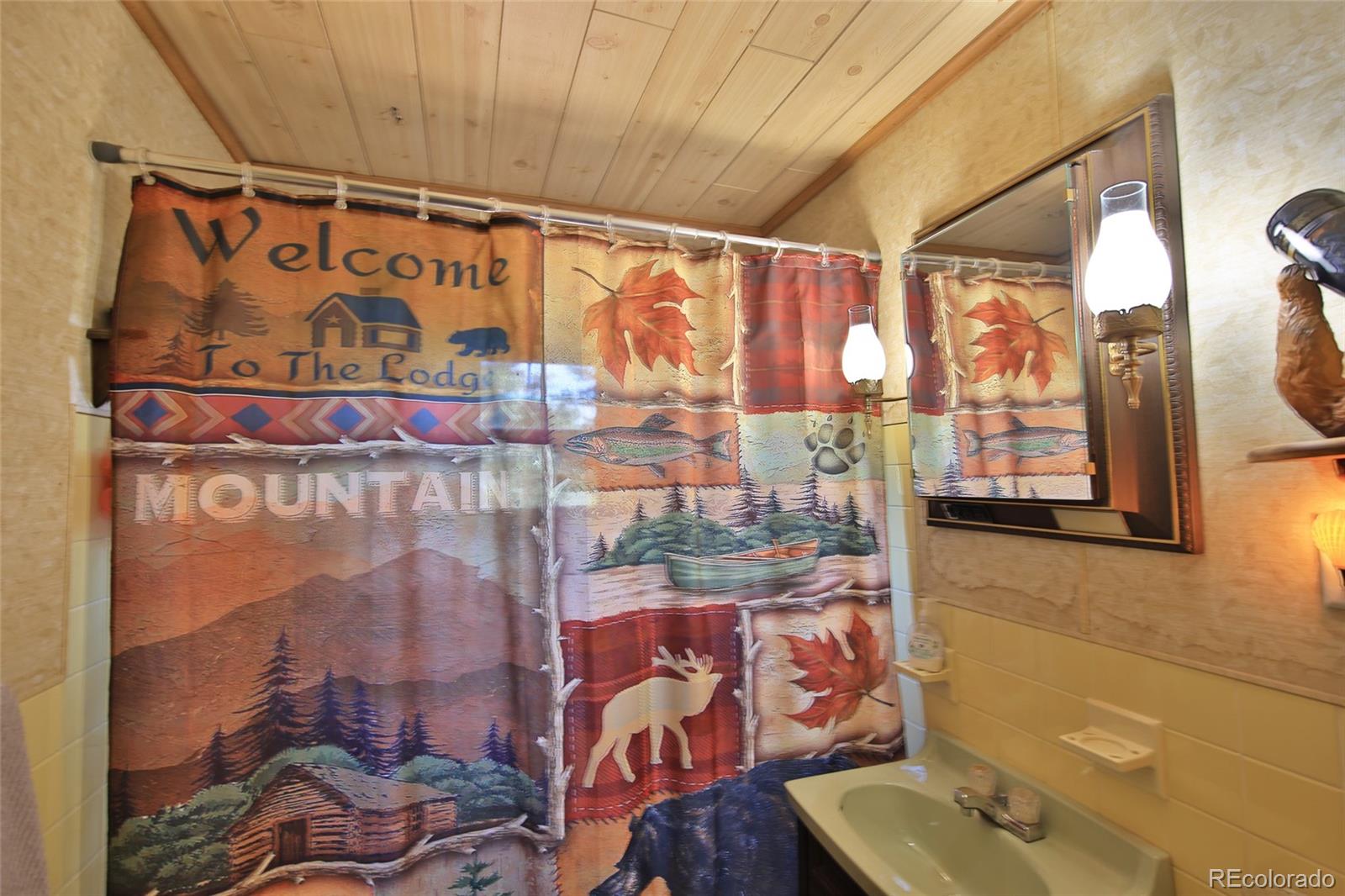 MLS Image #15 for 15699  aspen glenn lane,collbran, Colorado