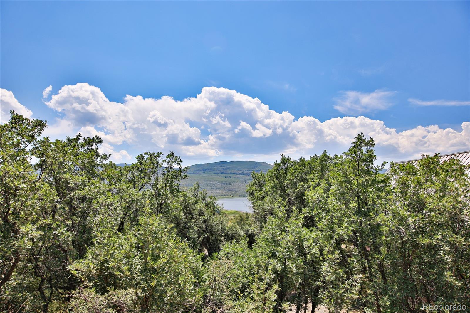 MLS Image #24 for 15699  aspen glenn lane,collbran, Colorado