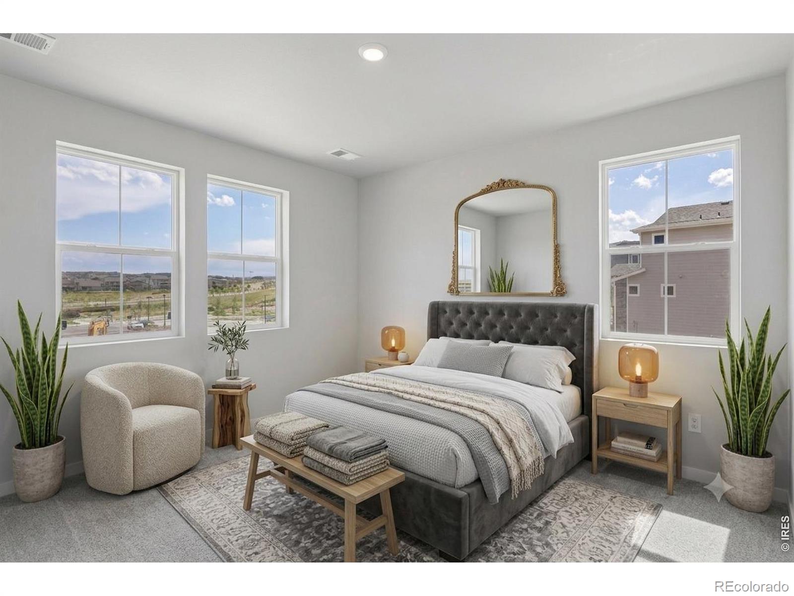 MLS Image #12 for 647  noola street,windsor, Colorado