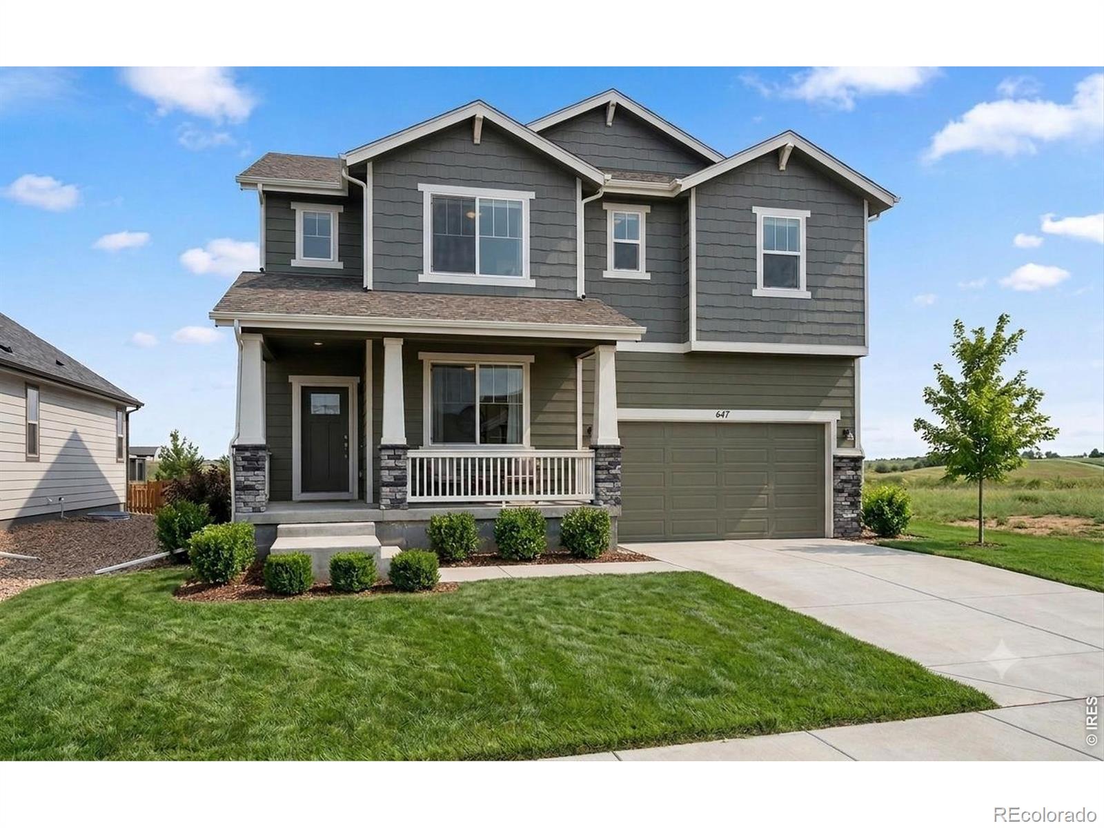 MLS Image #22 for 647  noola street,windsor, Colorado