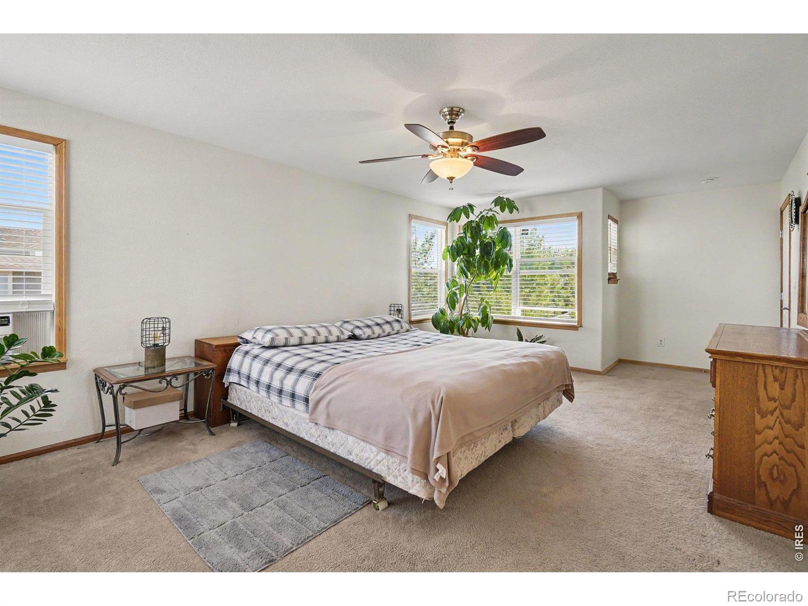 MLS Image #15 for 436 n 48th avenue,brighton, Colorado