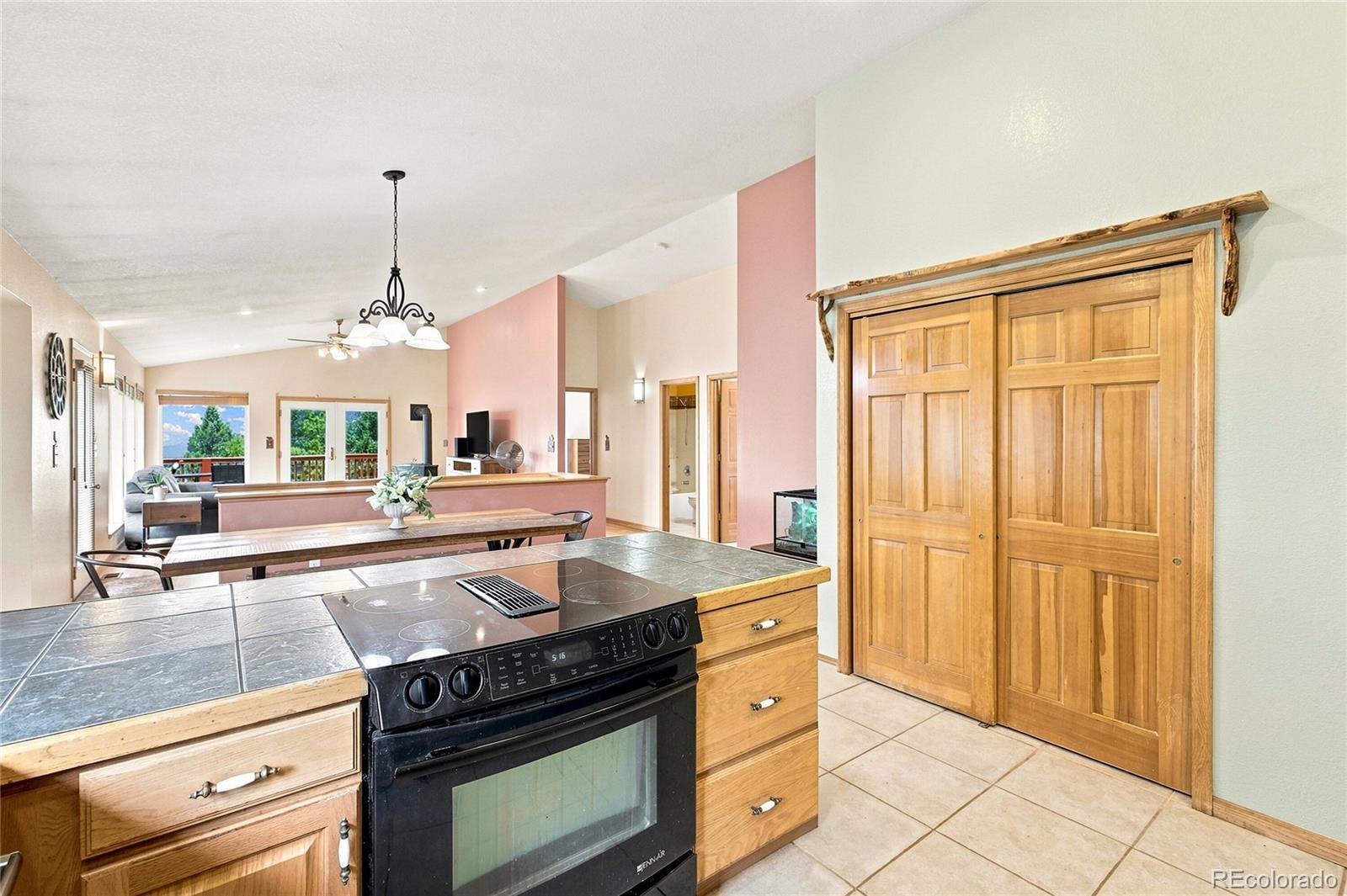 MLS Image #10 for 594  hi meadow drive,bailey, Colorado