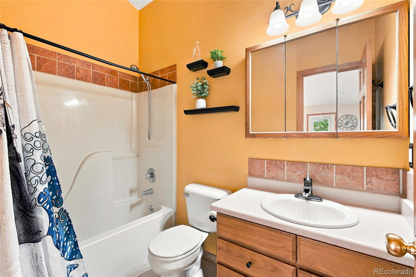 MLS Image #18 for 594  hi meadow drive,bailey, Colorado