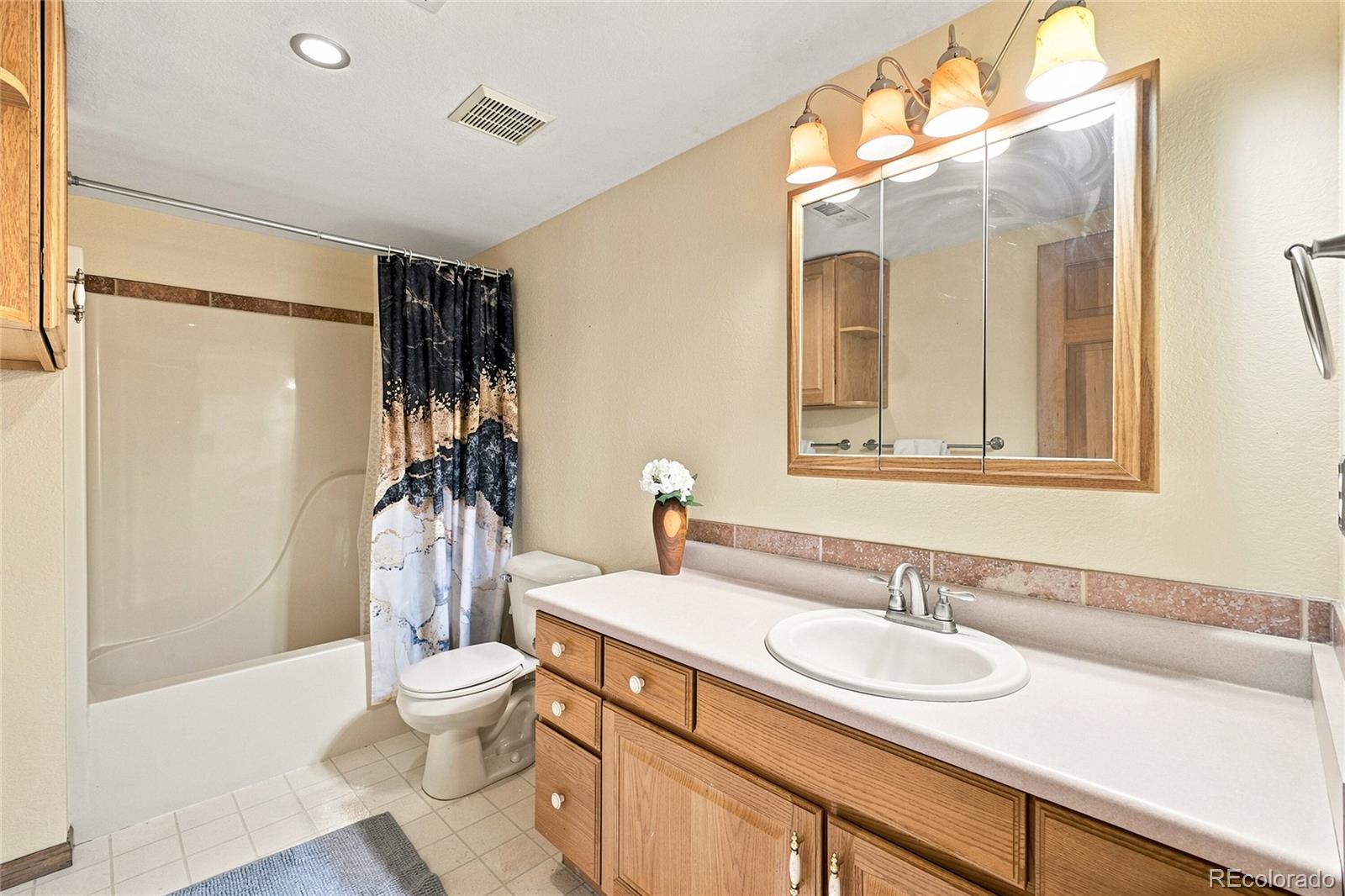 MLS Image #22 for 594  hi meadow drive,bailey, Colorado