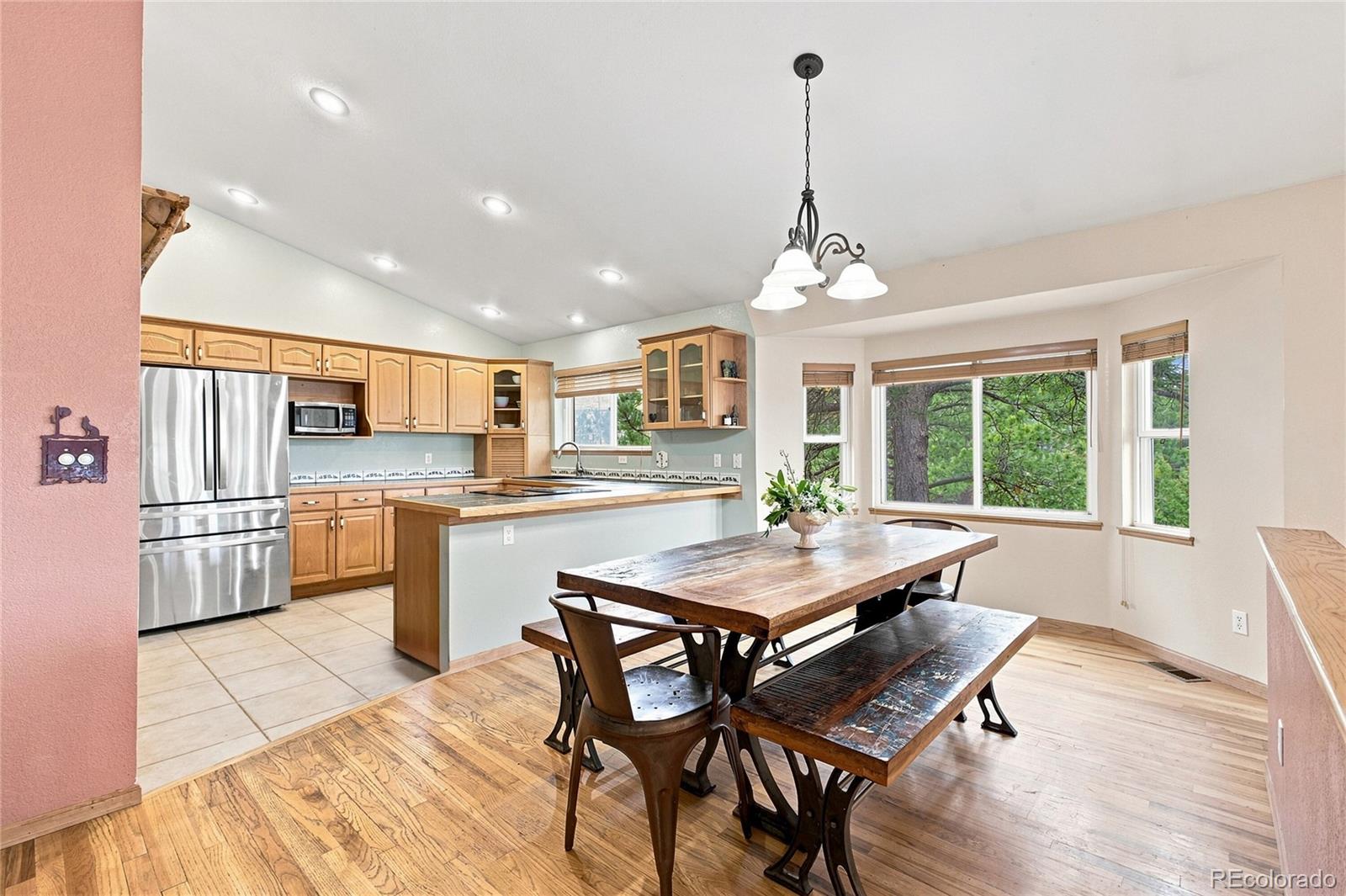MLS Image #5 for 594  hi meadow drive,bailey, Colorado