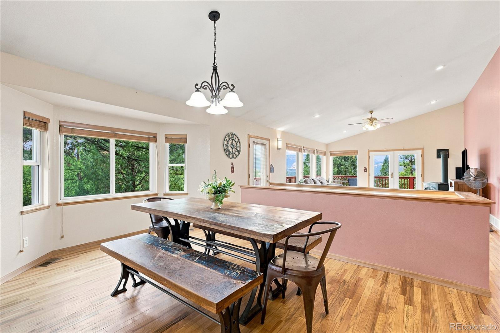 MLS Image #6 for 594  hi meadow drive,bailey, Colorado