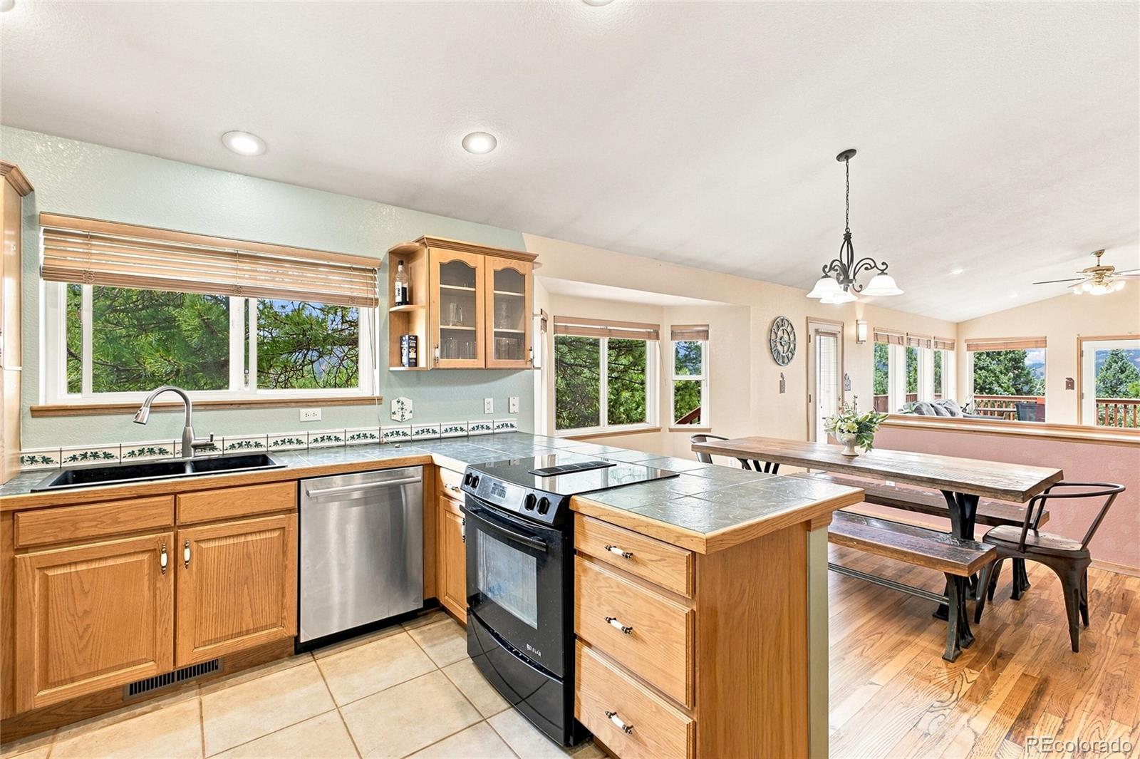 MLS Image #9 for 594  hi meadow drive,bailey, Colorado