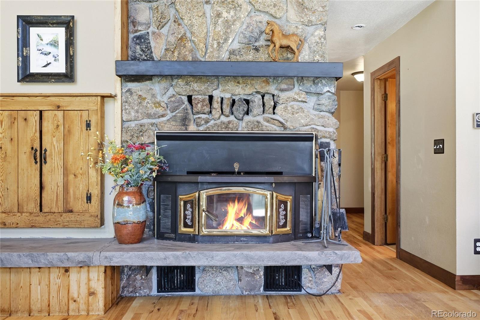 MLS Image #12 for 8818  blue creek road,evergreen, Colorado