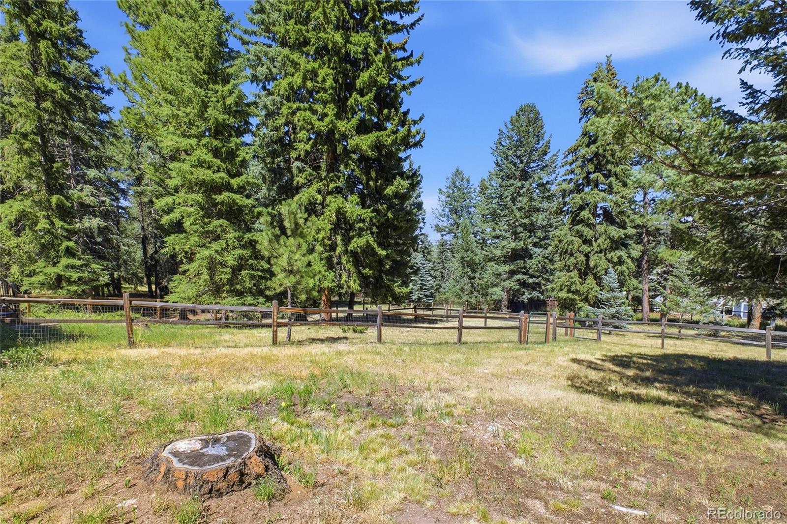 MLS Image #39 for 8818  blue creek road,evergreen, Colorado