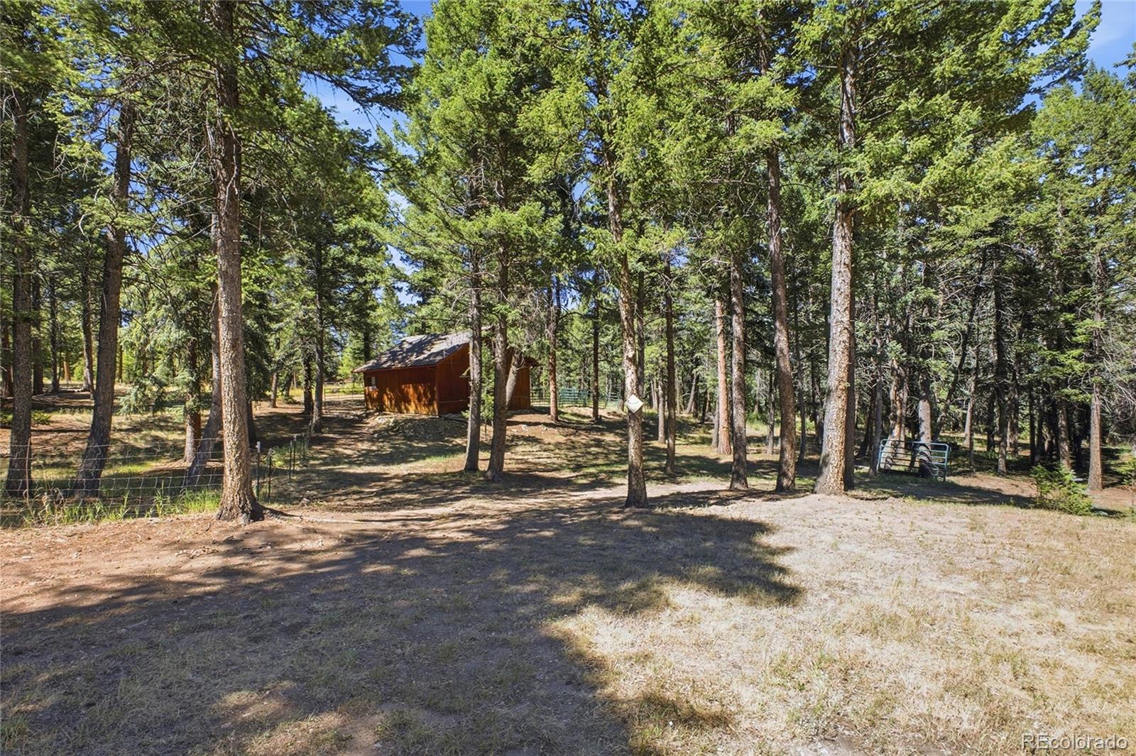 MLS Image #40 for 8818  blue creek road,evergreen, Colorado