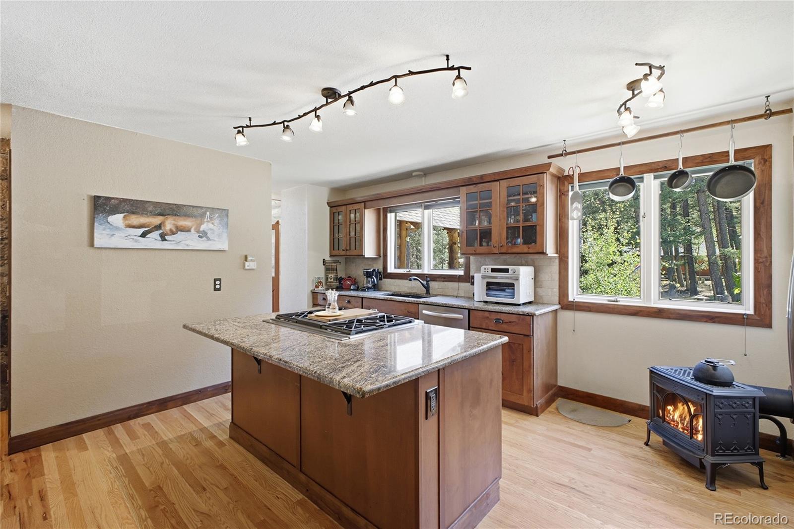 MLS Image #5 for 8818  blue creek road,evergreen, Colorado