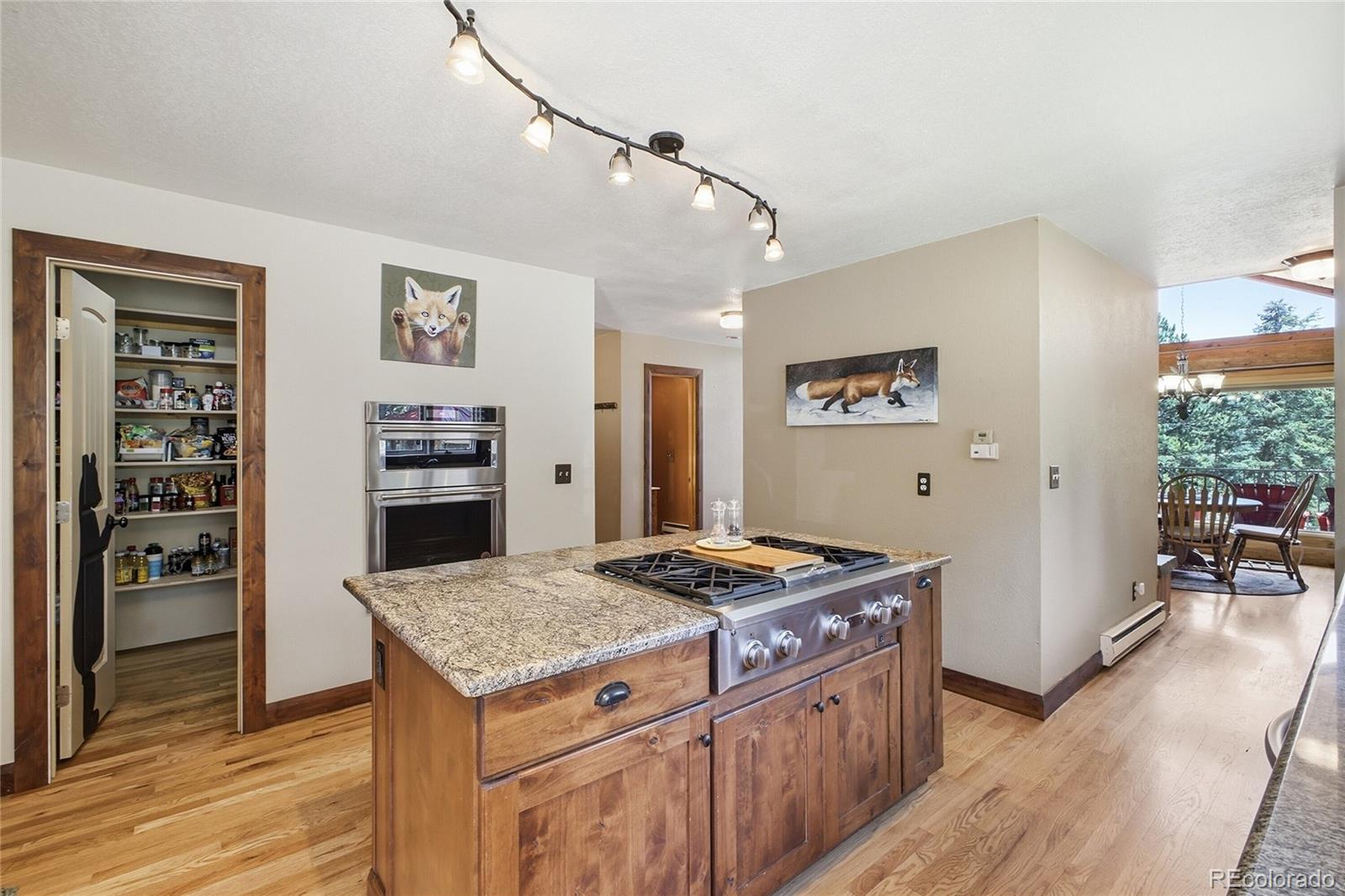 MLS Image #6 for 8818  blue creek road,evergreen, Colorado