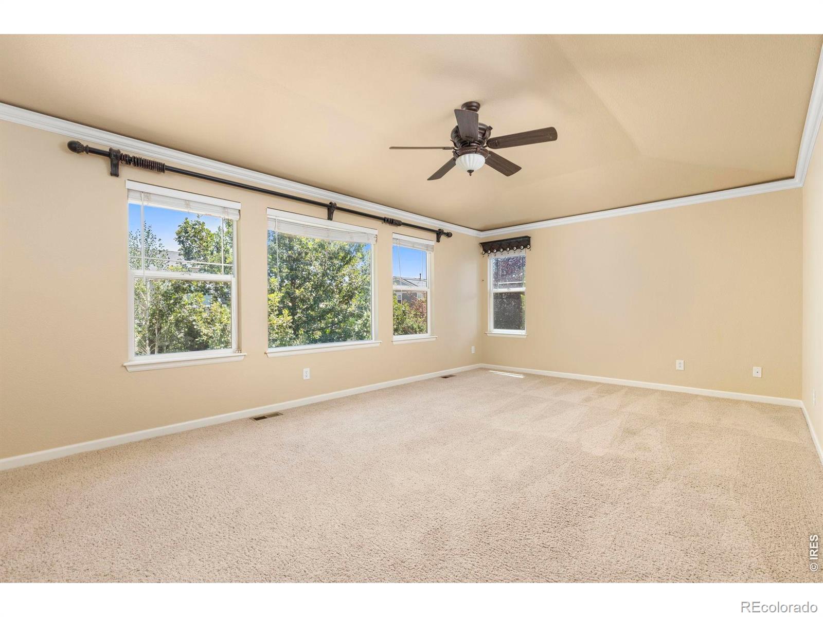 MLS Image #16 for 213  bittern drive,johnstown, Colorado