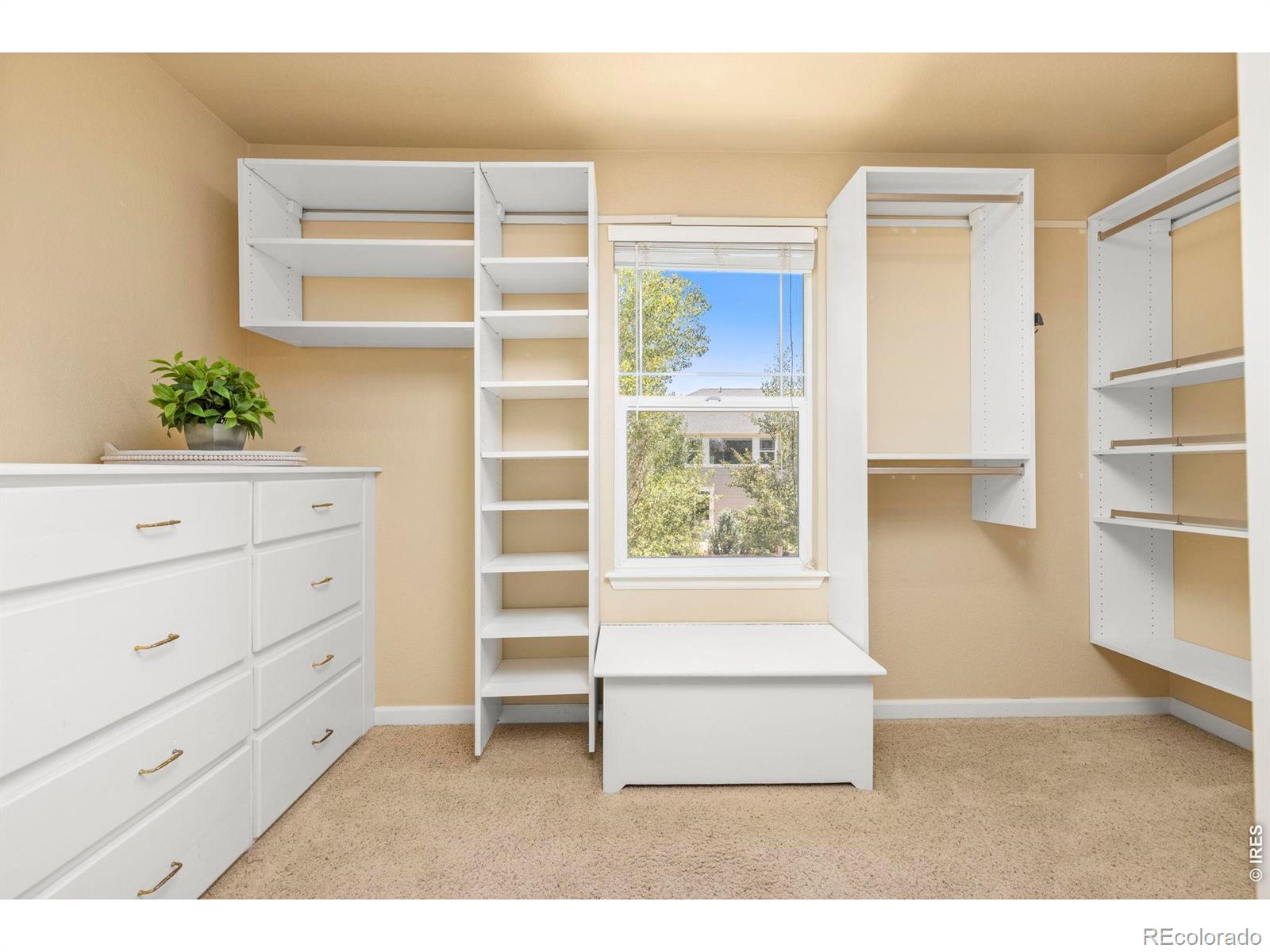 MLS Image #20 for 213  bittern drive,johnstown, Colorado