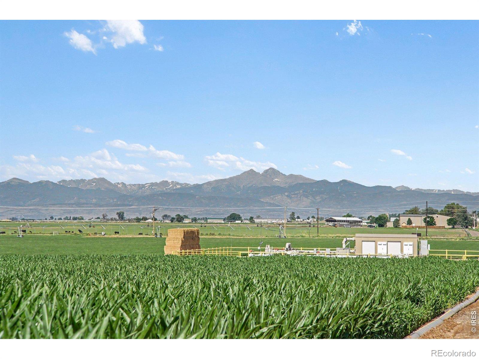 MLS Image #27 for 6335  county road 46 ,johnstown, Colorado