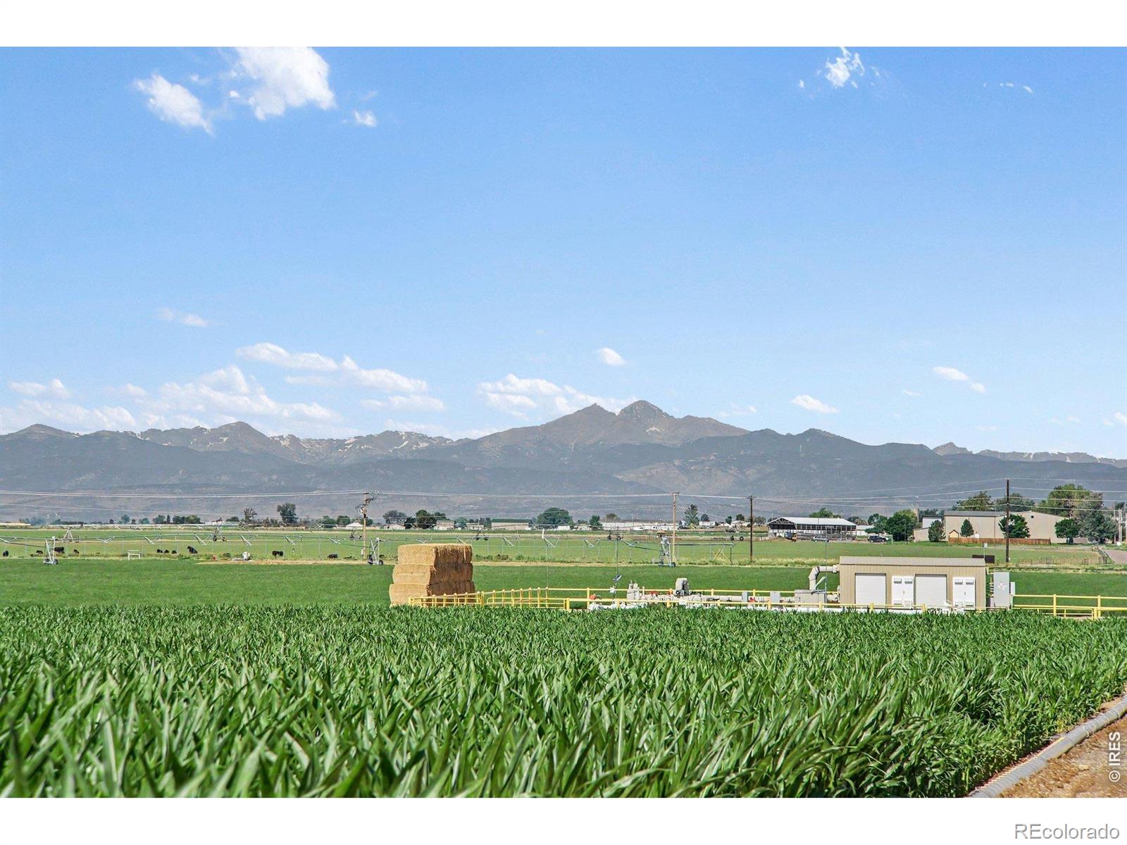 MLS Image #28 for 6335  county road 46 ,johnstown, Colorado