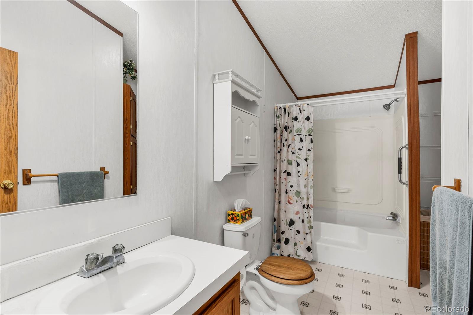 MLS Image #14 for 758  shannon road,cotopaxi, Colorado