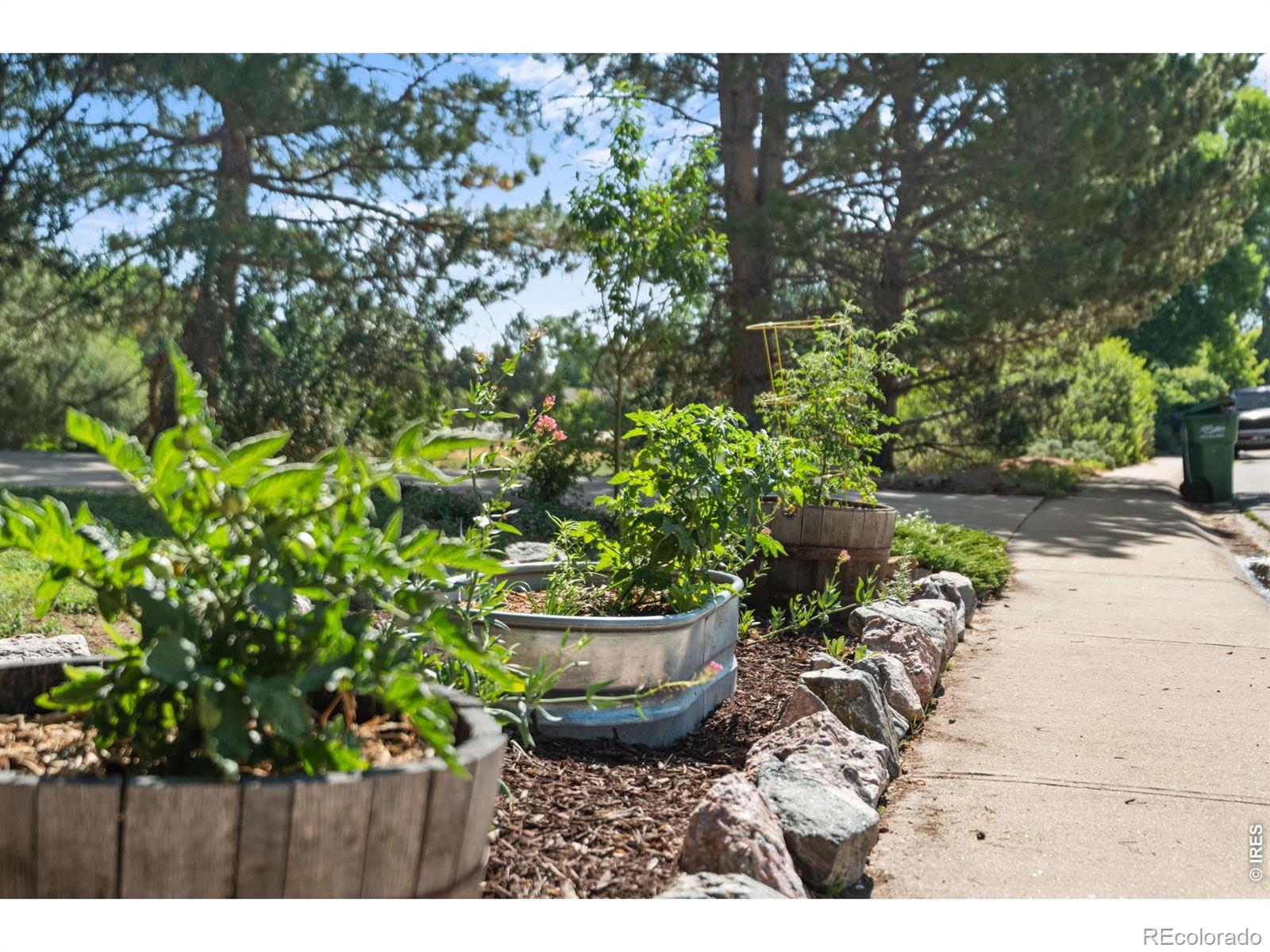MLS Image #40 for 1700 w swallow road,fort collins, Colorado