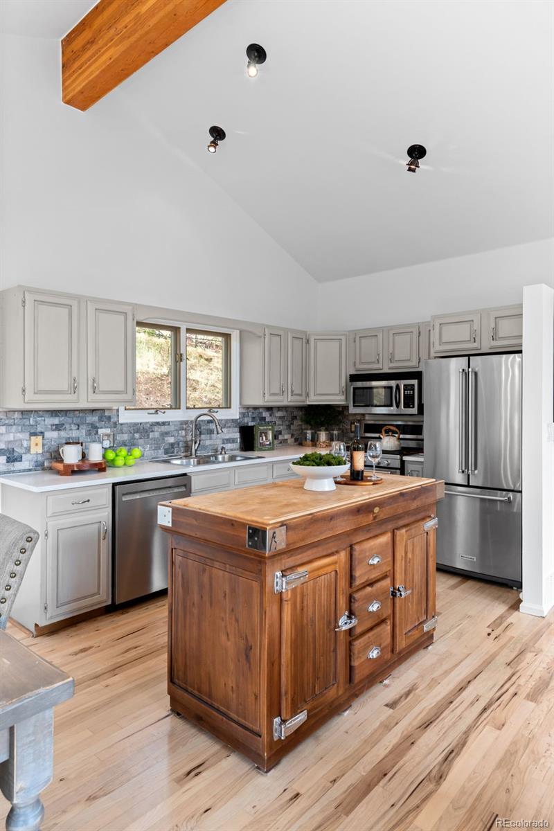 MLS Image #15 for 32539  aspen meadow drive,evergreen, Colorado