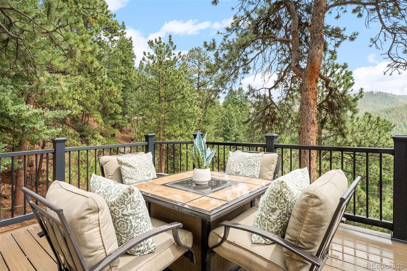 MLS Image #29 for 32539  aspen meadow drive,evergreen, Colorado