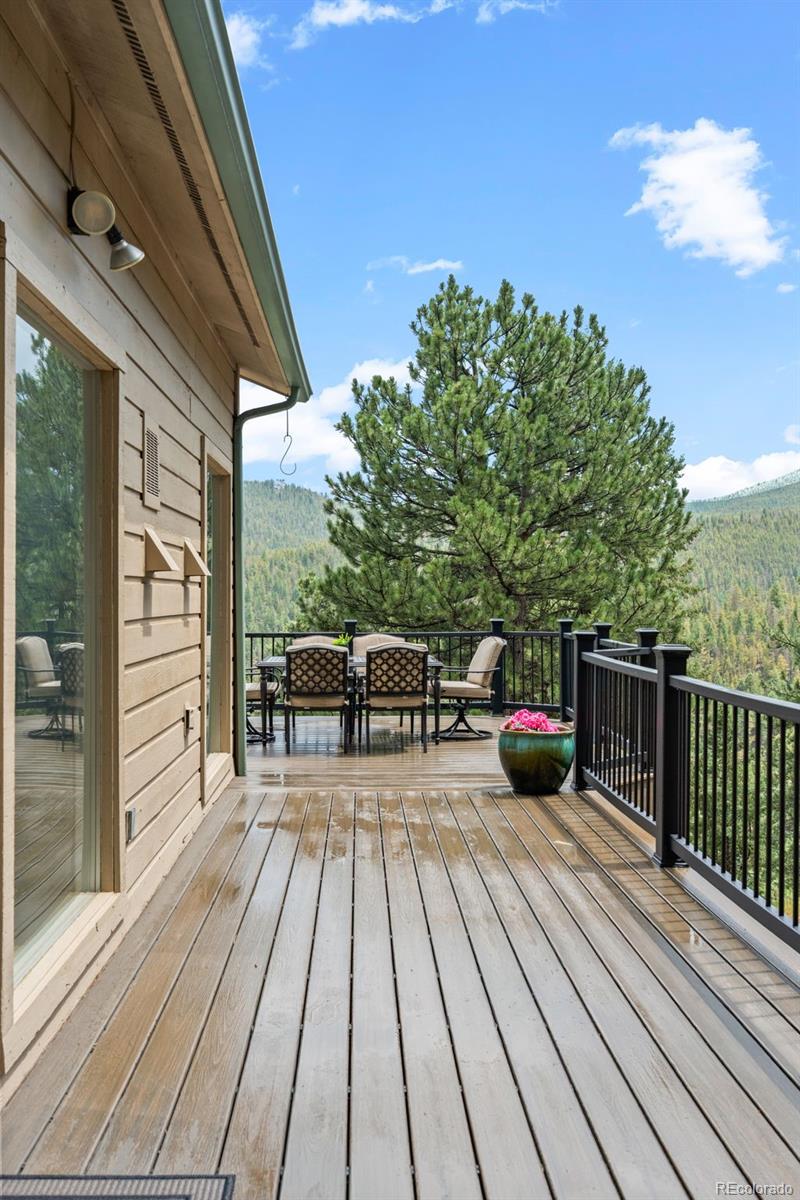 MLS Image #36 for 32539  aspen meadow drive,evergreen, Colorado